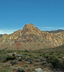 Долина Смерти. Путь из Вегаса — горы и деревья Джошуа