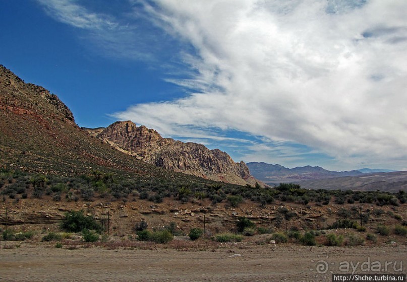 Долина Смерти. Путь из Вегаса — горы и деревья Джошуа