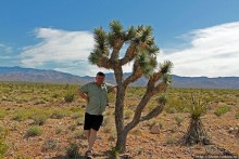 Долина Смерти. Путь из Вегаса — горы и деревья Джошуа