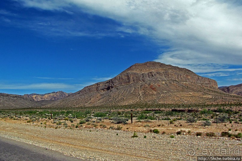 Долина Смерти. Путь из Вегаса — горы и деревья Джошуа