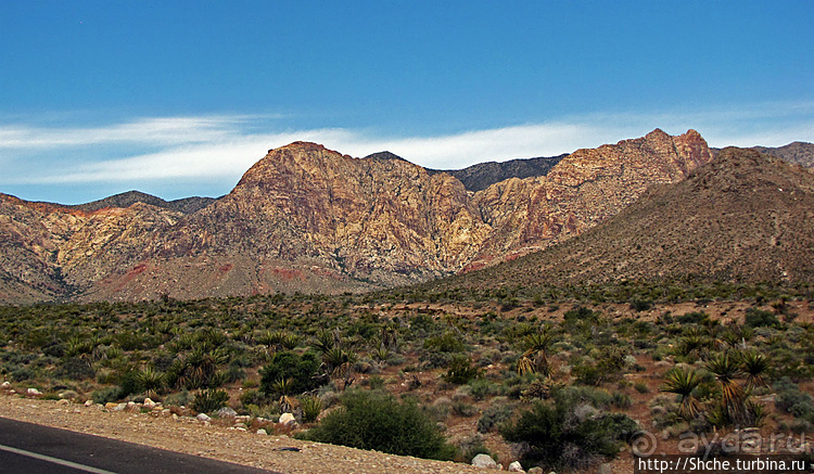 Долина Смерти. Путь из Вегаса — горы и деревья Джошуа