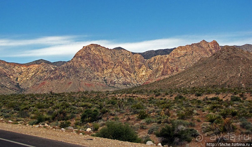Долина Смерти. Путь из Вегаса — горы и деревья Джошуа