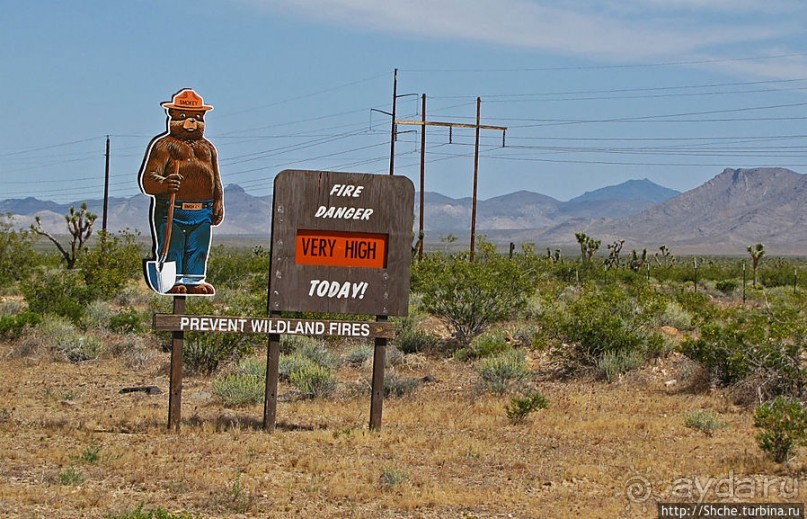 Долина Смерти. Путь из Вегаса — горы и деревья Джошуа