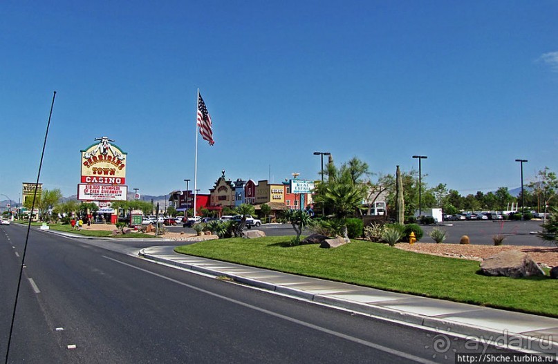 Долина Смерти. Путь из Вегаса — горы и деревья Джошуа