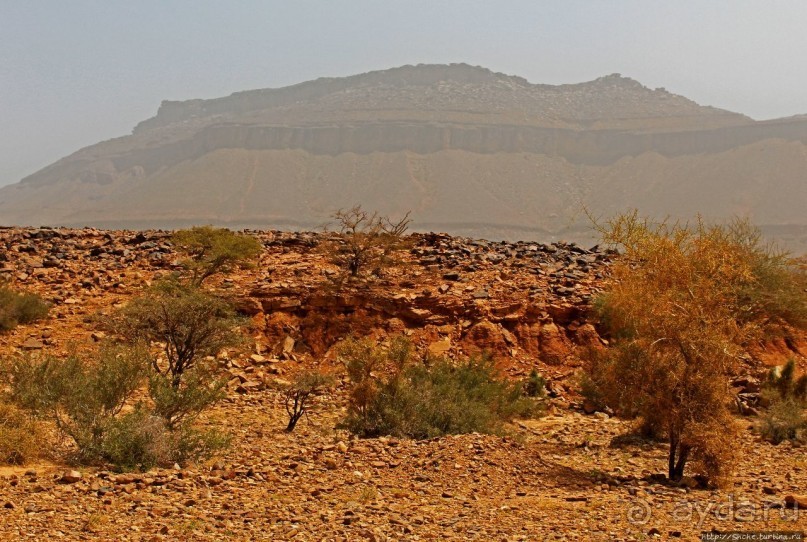 Мавританские картинки. Проезжаем по области Ардар