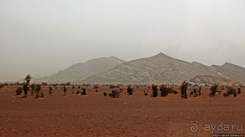 Мавританские картинки. Проезжаем по области Ардар