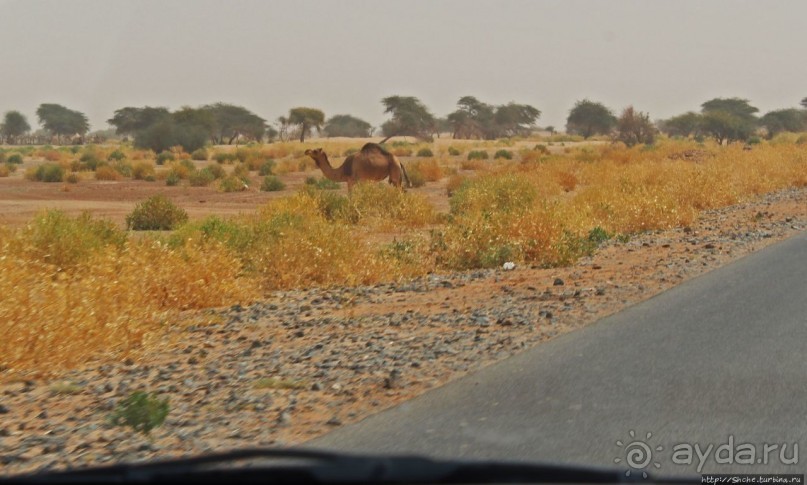Мавританские картинки. Проезжаем по области Ардар