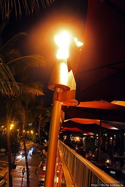 Приятная обстановка и качественная кухня на Вайкики