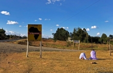 Альбом истории "Та самая незримая линия. Экватор и религиозный транс в Кении"