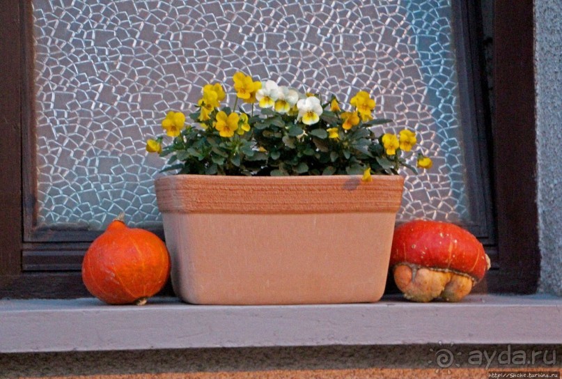 Гостевой дом — оказалось, и так тоже можно:))