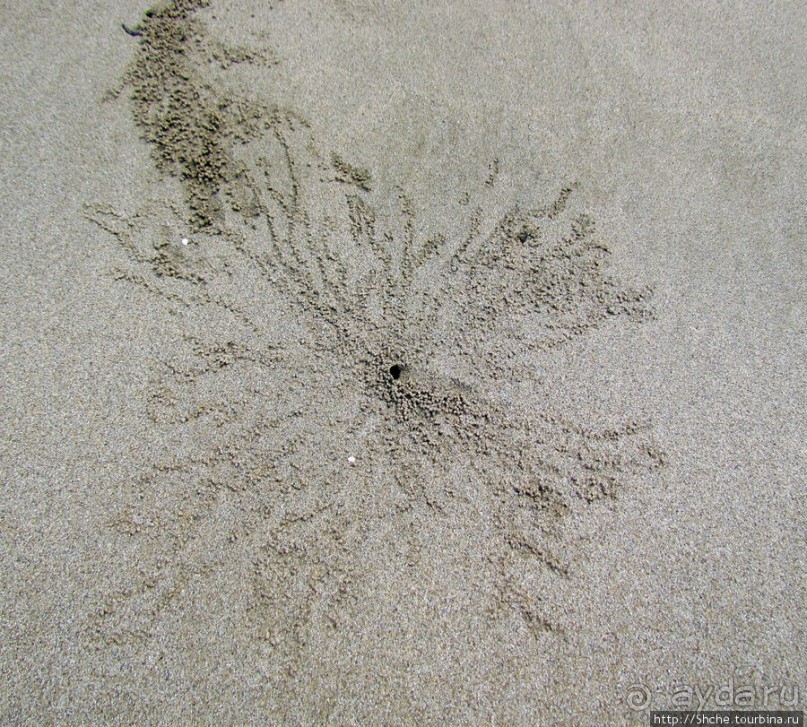 Следы на песчаном пляже Нуси-Бе