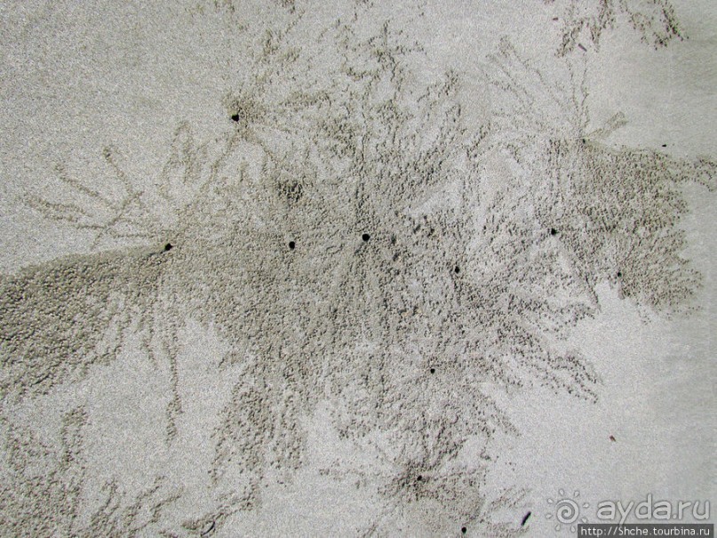 Следы на песчаном пляже Нуси-Бе