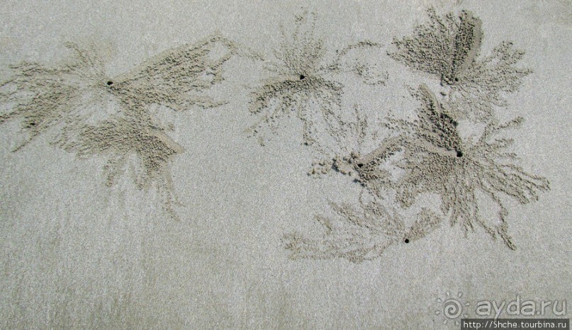 Следы на песчаном пляже Нуси-Бе