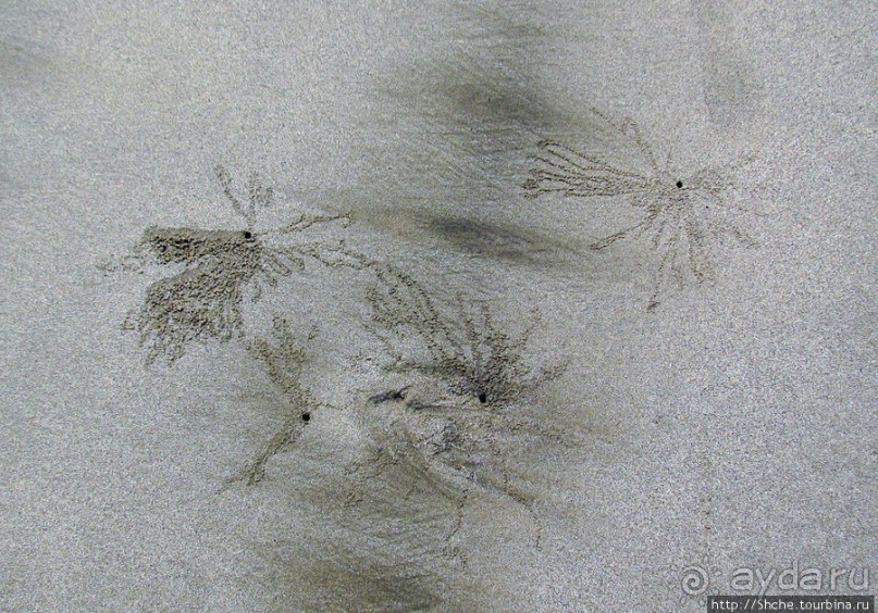 Следы на песчаном пляже Нуси-Бе