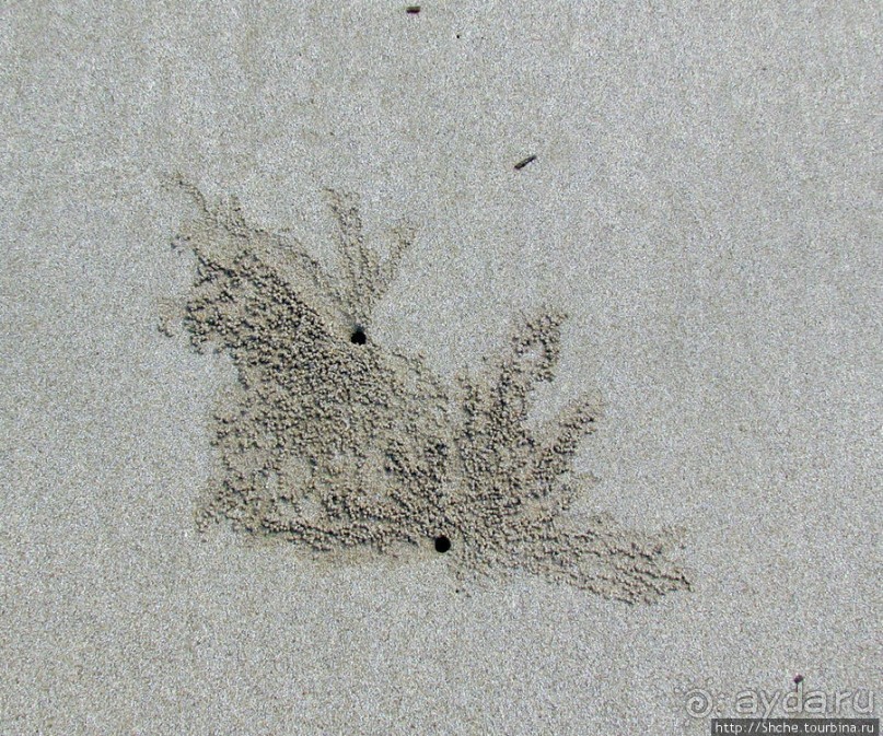 Следы на песчаном пляже Нуси-Бе