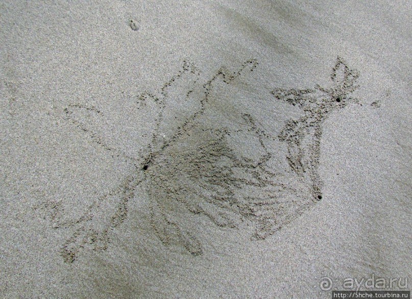 Следы на песчаном пляже Нуси-Бе