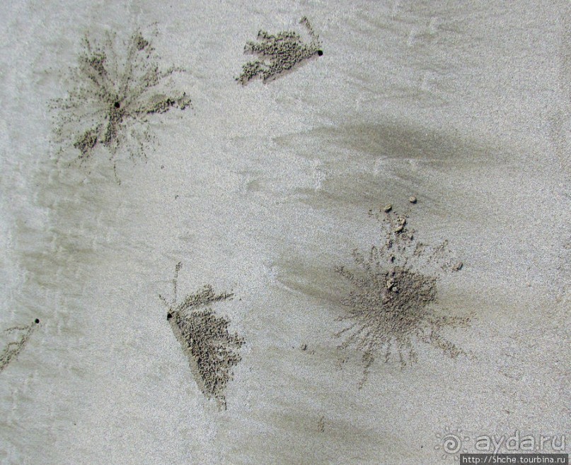 Следы на песчаном пляже Нуси-Бе