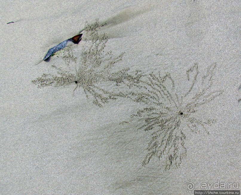 Следы на песчаном пляже Нуси-Бе