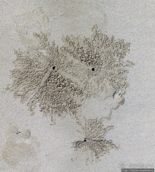Следы на песчаном пляже Нуси-Бе
