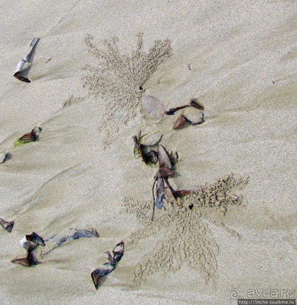 Следы на песчаном пляже Нуси-Бе