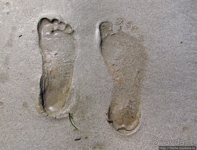 Следы на песчаном пляже Нуси-Бе