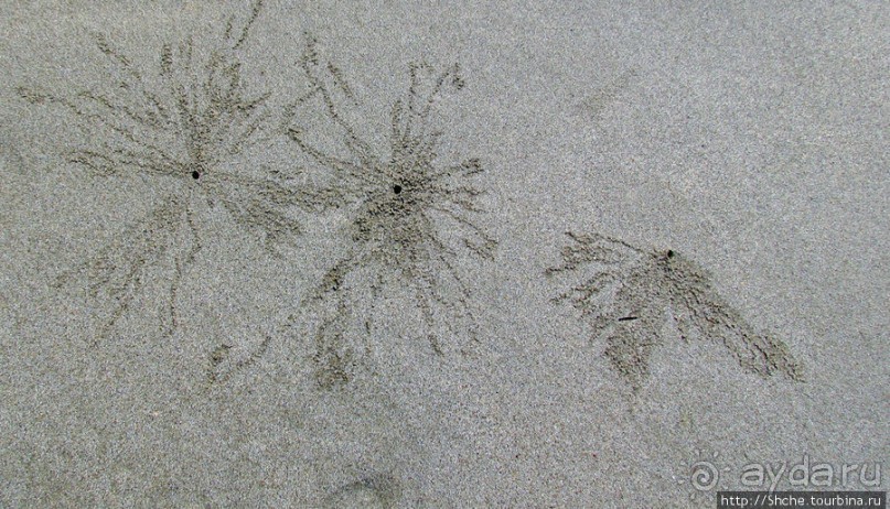 Следы на песчаном пляже Нуси-Бе