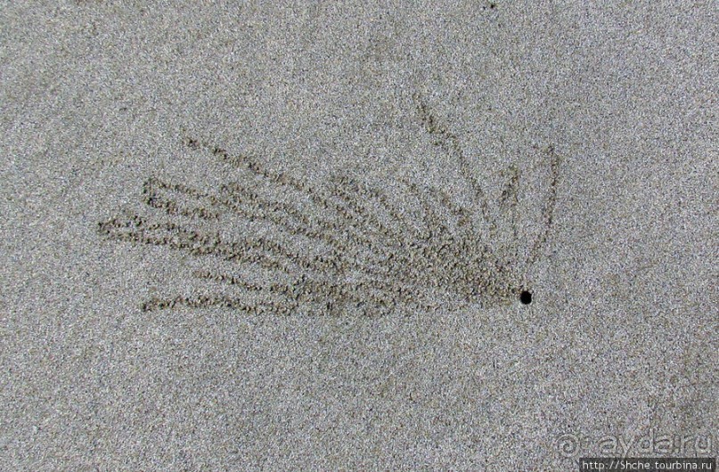 Следы на песчаном пляже Нуси-Бе
