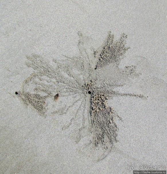 Следы на песчаном пляже Нуси-Бе