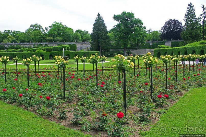 Дворцовый сад Хофгартен