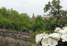 Дворцовый сад Хофгартен