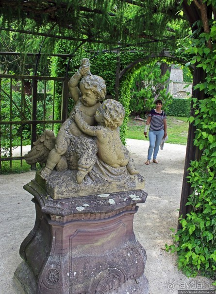 Дворцовый сад Хофгартен