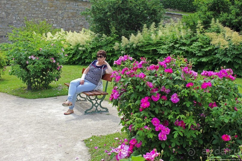 Дворцовый сад Хофгартен