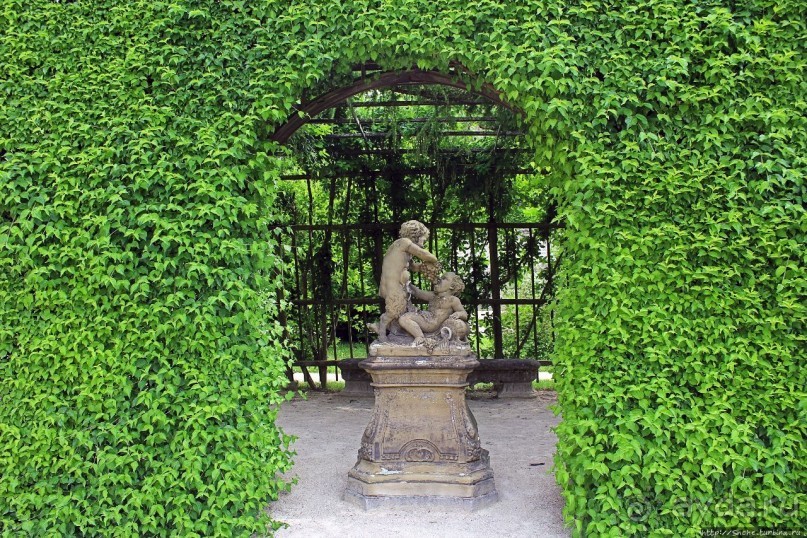 Дворцовый сад Хофгартен