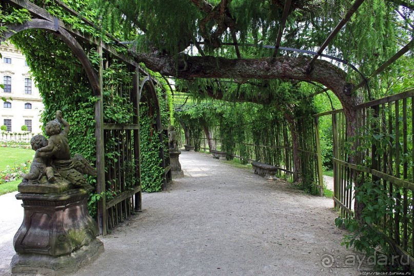 Дворцовый сад Хофгартен