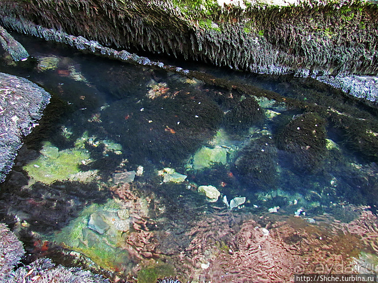 Пещера с источником Житолюб (Жълти люб)