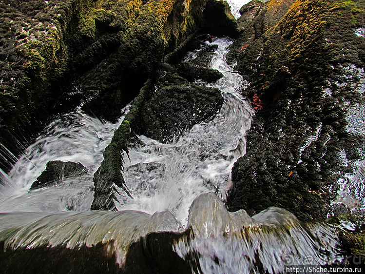 Пещера с источником Житолюб (Жълти люб)