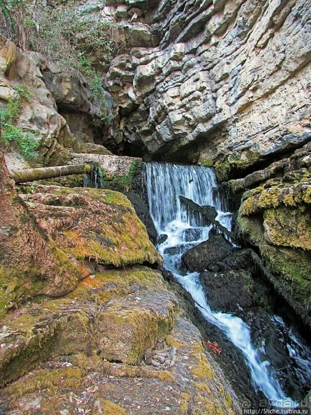 Пещера с источником Житолюб (Жълти люб)