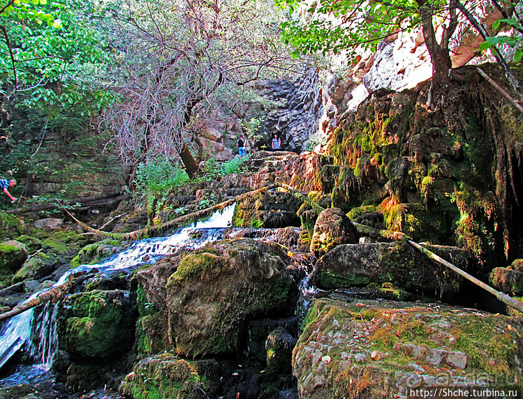 Пещера с источником Житолюб (Жълти люб)
