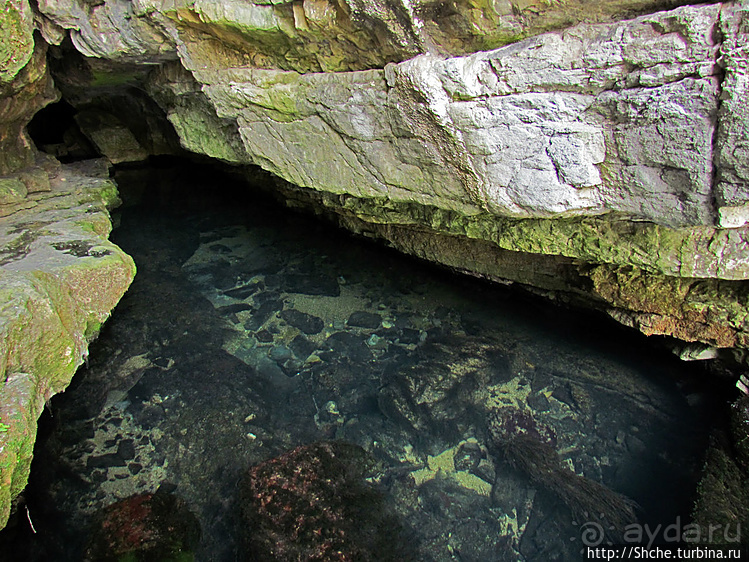 Пещера с источником Житолюб (Жълти люб)