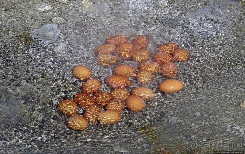 Кипяток (женский бассейн)