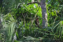 Кипяток (женский бассейн)