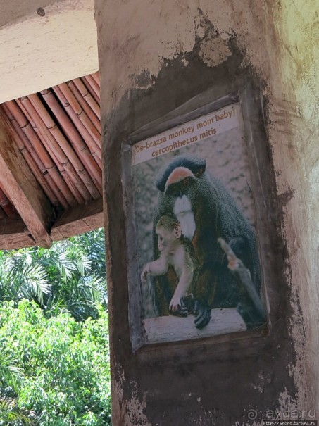 Кипяток (женский бассейн) Кипяток (женский бассейн)