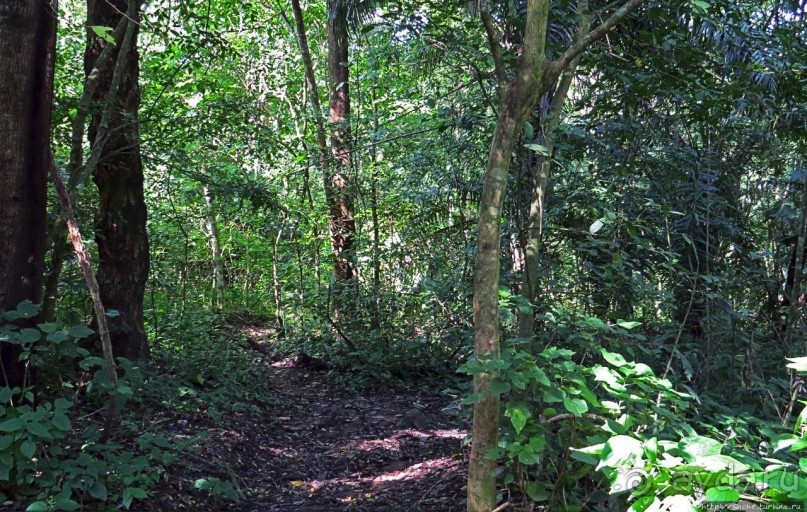 Кипяток (женский бассейн) Кипяток (женский бассейн)