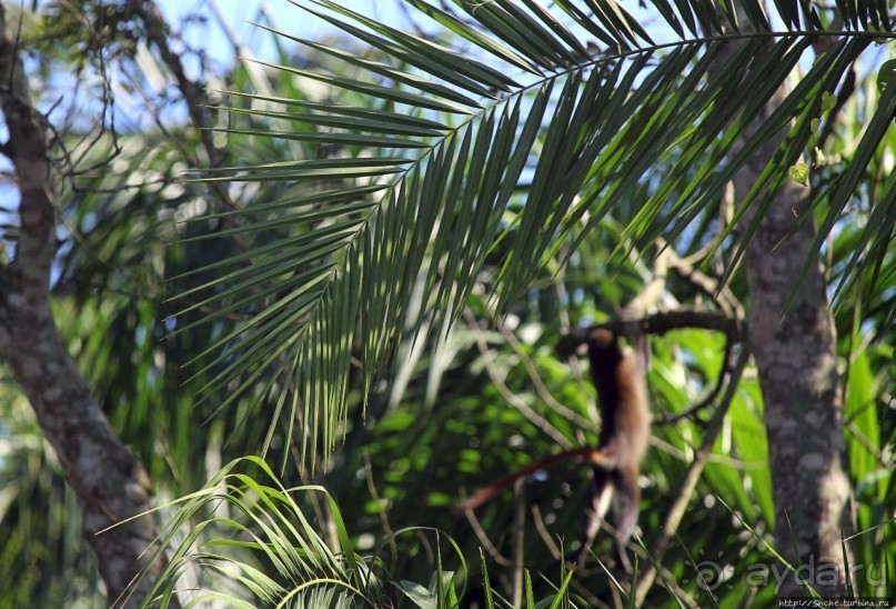 Кипяток (женский бассейн) Кипяток (женский бассейн)