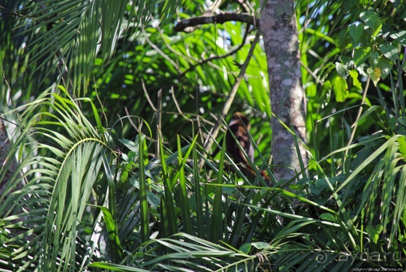 Кипяток (женский бассейн) Кипяток (женский бассейн)