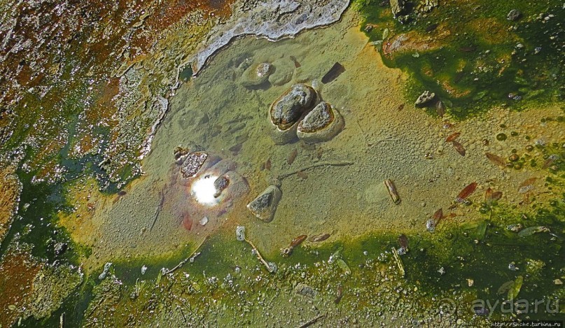 Кипяток (женский бассейн) Кипяток (женский бассейн)