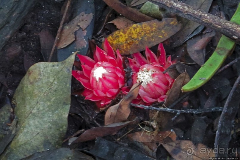 Кипяток (женский бассейн) Кипяток (женский бассейн)