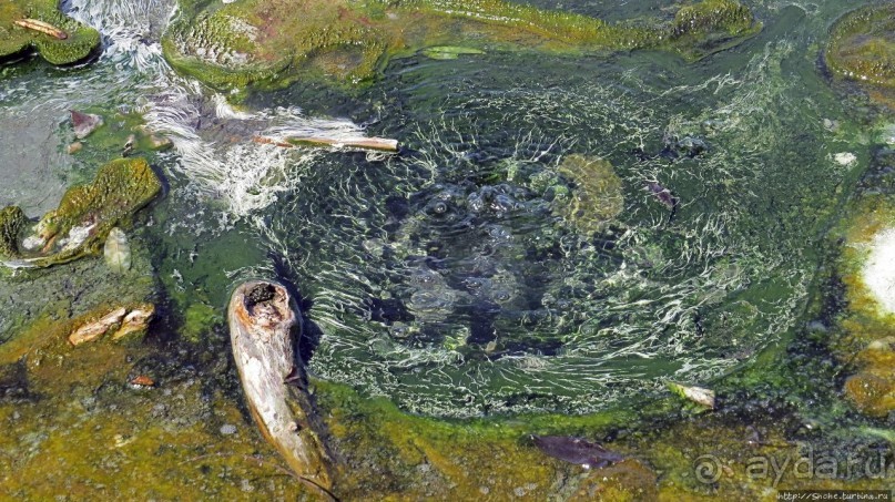 Кипяток (женский бассейн) Кипяток (женский бассейн)