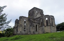 фото Бермудов