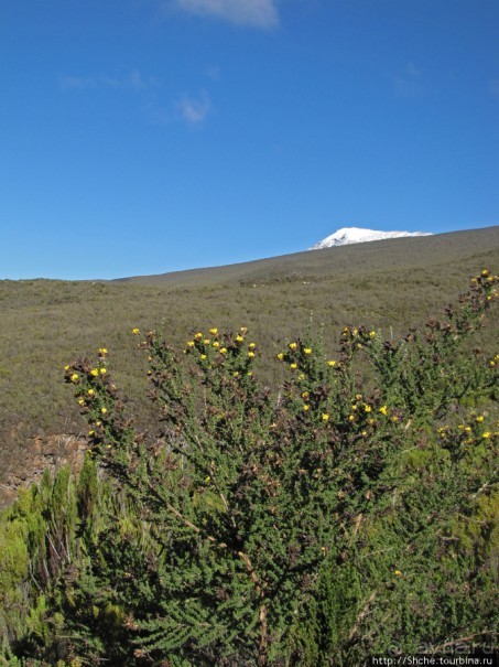 Спуск с Килиманджаро - обратная перемотка.